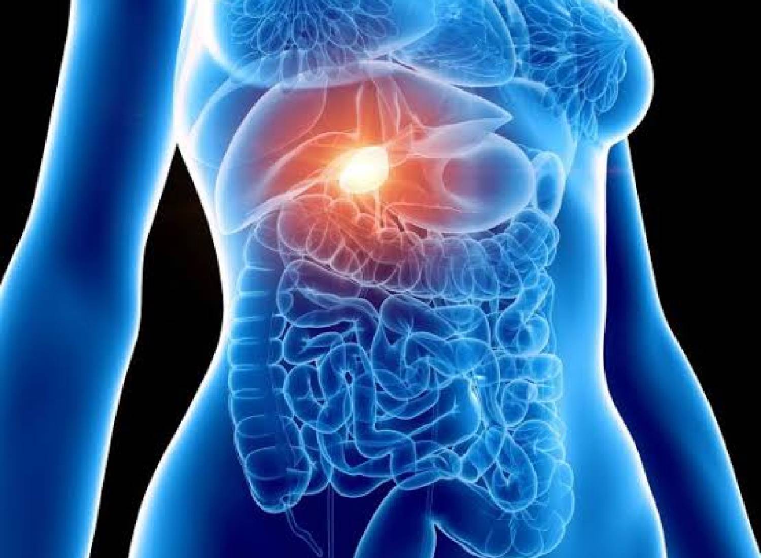 Renal Health