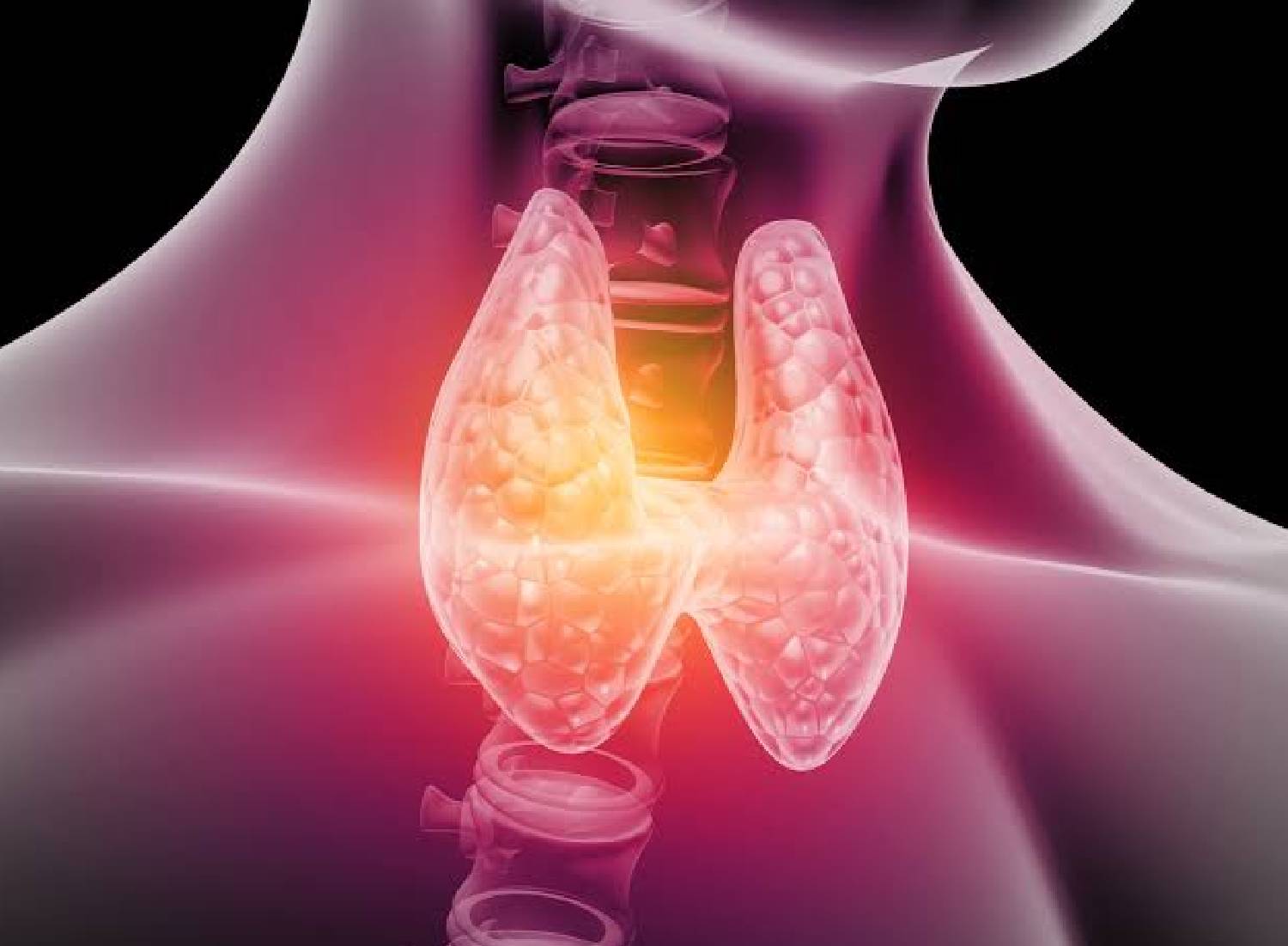 Thyroid Health